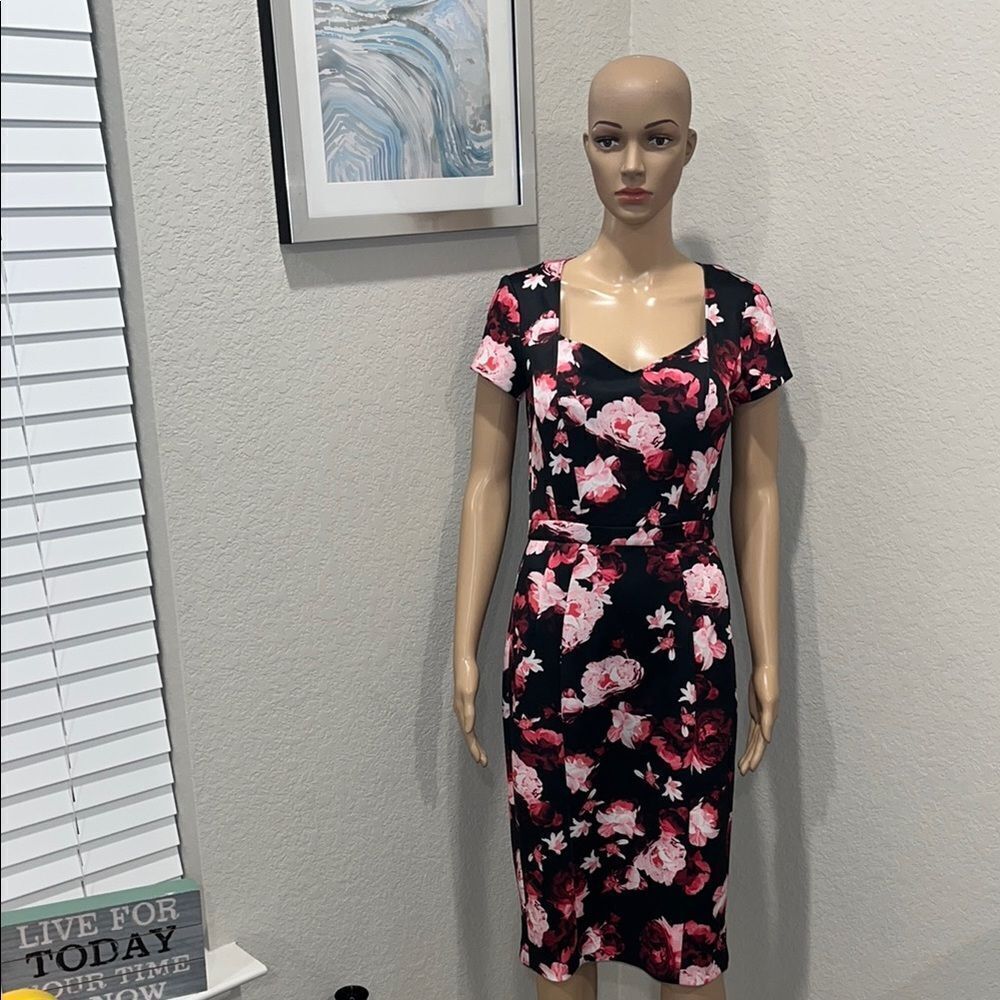 Vintage Eva.Mendes-Floral Black and Pink Dress